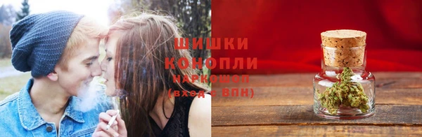 ПСИЛОЦИБИНОВЫЕ ГРИБЫ Балабаново