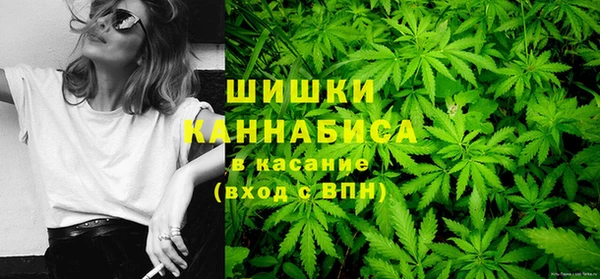 ПСИЛОЦИБИНОВЫЕ ГРИБЫ Балабаново