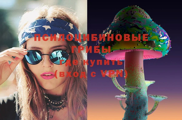 ПСИЛОЦИБИНОВЫЕ ГРИБЫ Балабаново