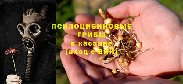 ПСИЛОЦИБИНОВЫЕ ГРИБЫ Балабаново
